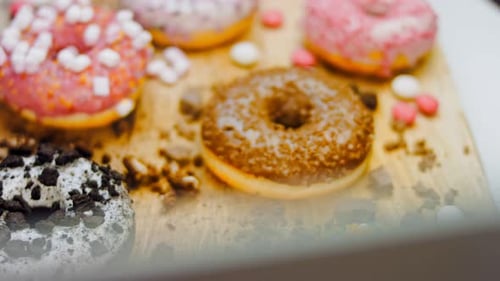 Chocolate Marshmello and Candy Donuts on a Retro Baking Tray