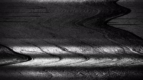 Fallo blanco y negro