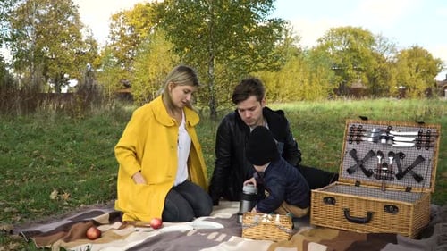 Family Picnicking in the Park