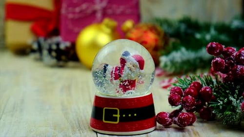 Christmas Decorations for the Tree