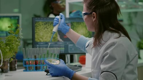 Scientist Woman Taking Genetic Solution From Test Tube with Micropipette