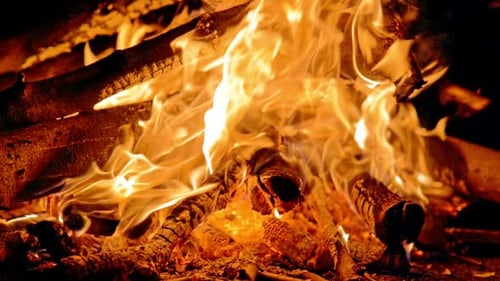 Camp Fire (2K)