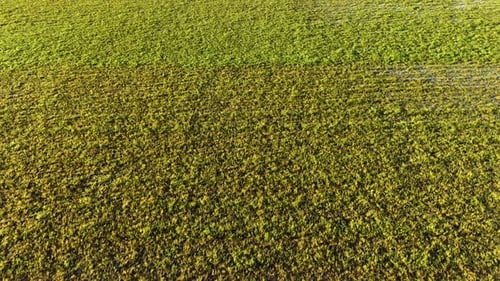 Farm Fields Background Texture Green 4 K Aerial View