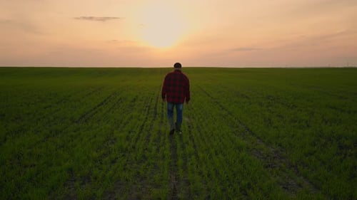Farmer Walks Through Field at Sunset