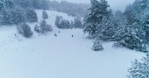 Man walking in forest under heavy snowfall.