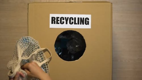 Putting Plastic Bottles into Recycling Bin