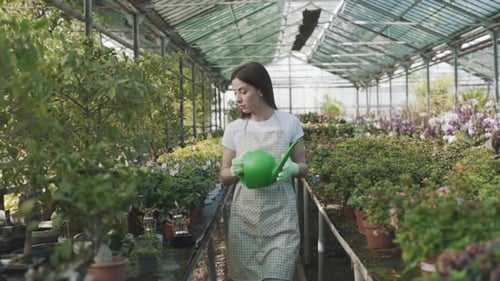 Woman Watering Plants in Tropical Greenhouse