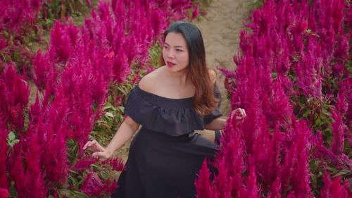 Woman Posing Among Magenta Flowers in Sunny Field
