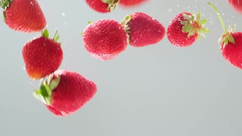 Rote Erdbeerbeere fällt in transparentes Wasser auf weißem Hintergrund. Süße frische Beeren