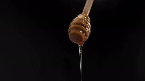 Honey with wooden dipper stick isolated on black background. Sweet food. Honey bees and wax. Nectar.