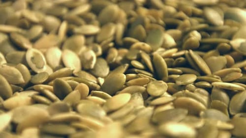 Golden-Green Pumpkin Seeds Macro Close Up