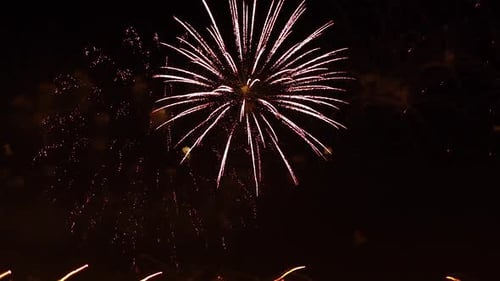 Spectacular Fireworks Display Bursts in the Night Sky
