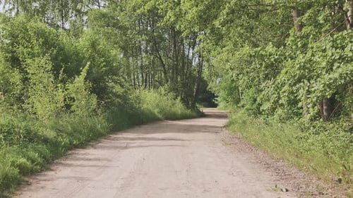 Driving Along the Village Road Near the Forest