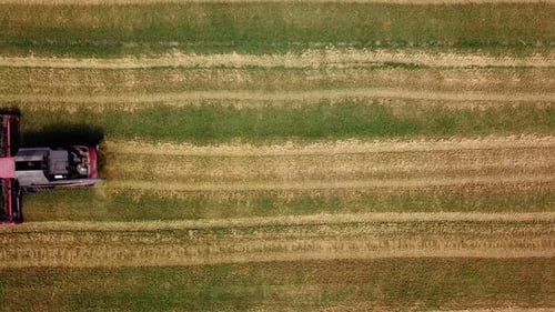 Harvester Machine Working in Field