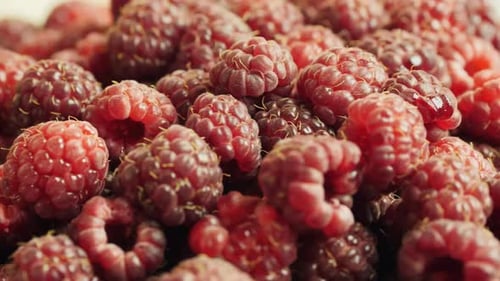 Raspberry Rotation Background