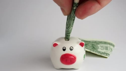 Money is put into the piggy bank. Piggy bank filled with dollar bills. Piggy bank with money.