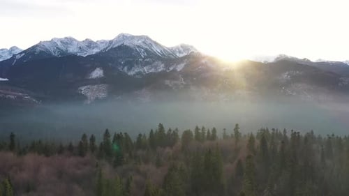 Wald und Berge