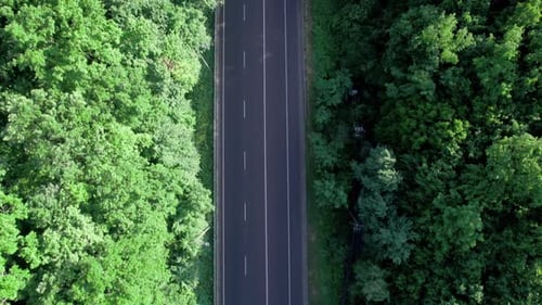 Car Driving Down Road Through Green Forest Valley with Trees