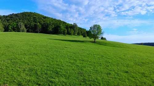 Green plain and blue sky