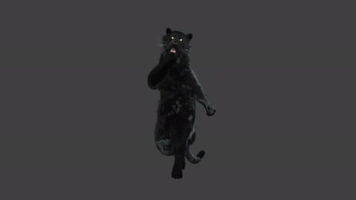 3D Animated Black Panther Dancing Character Loop