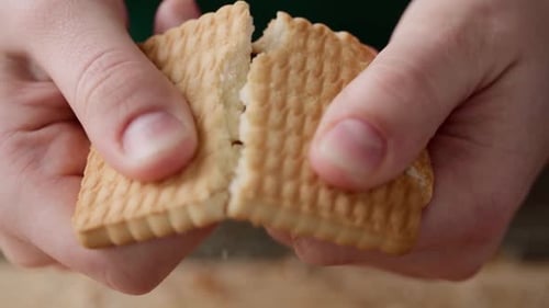 Close Up of Female Hand Breaking Shortbread Cookie