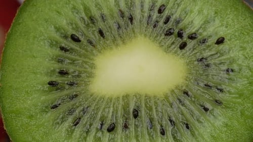 half kiwi fruit close up