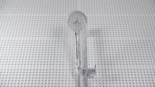 Shower Head with Running Water in Studio