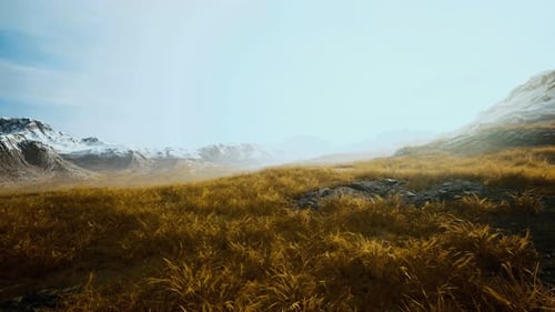 Dry Grass and Snow Covered Mountains in Alaska
