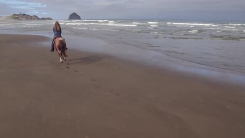 Aerial view of women riding horses at beach