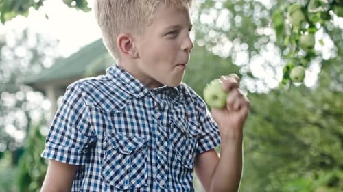 Junge isst sauren Apfel