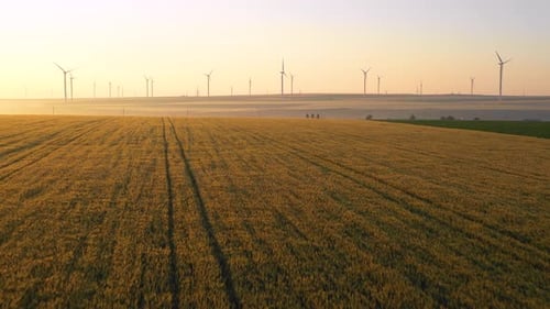 Flying close above vast yellow wheat field with wind turbines in the background