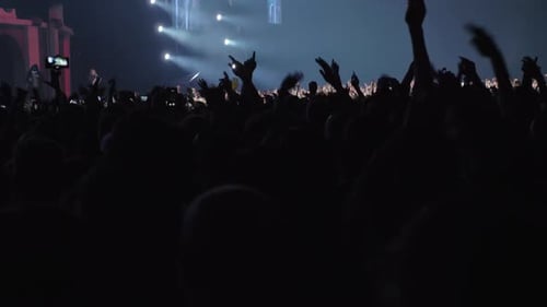 Dancing Crowd with Hands Up at the Music Festival