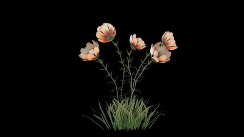 Cultivo de flores