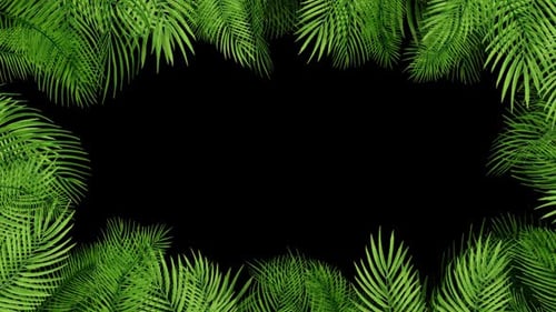 Palmblätter HD
