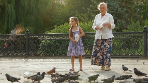 Dove Herde