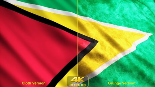 Waving Flag of Guyana with Textured and Clean Versions
