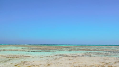 Nature Scene With Sea Shore And Clear Blue Sky