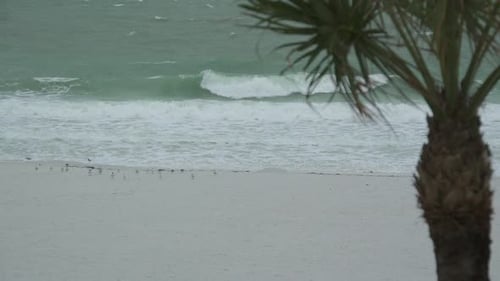 Scenes On The Beach As A Storm Approaches (6 Of 6)