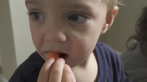 Child Eats Raw Carrot Stick Close Up