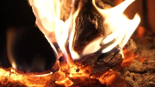 Flames And Fiery Coals (3 Of 8)