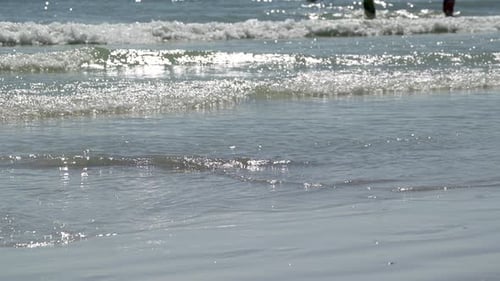Scenes From A Busy Beach (3 Of 5)