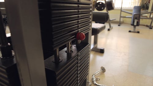 Professional Sport Weights In Gym