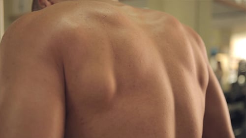 Bodybuilder In The Gym