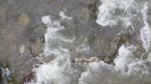 üppiger Fluss