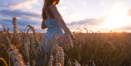 Woman in Field of Wheat