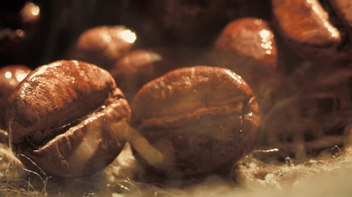 Aromatic Coffee Beans in a Close Up Shot