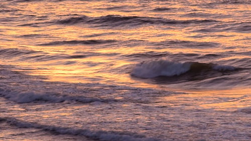 Sea