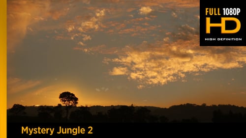 Golden Sunrise over Tree Lined Horizon