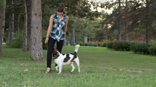 El perro corre bajo el pie de la niña