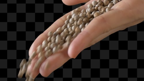 Hand Of Woman Pouring Pepper